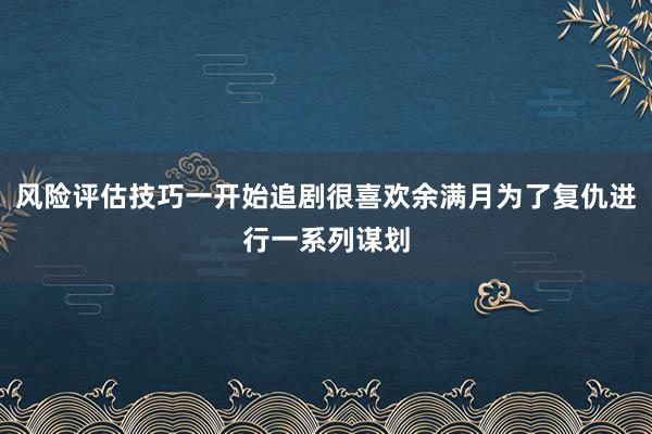 风险评估技巧一开始追剧很喜欢余满月为了复仇进行一系列谋划