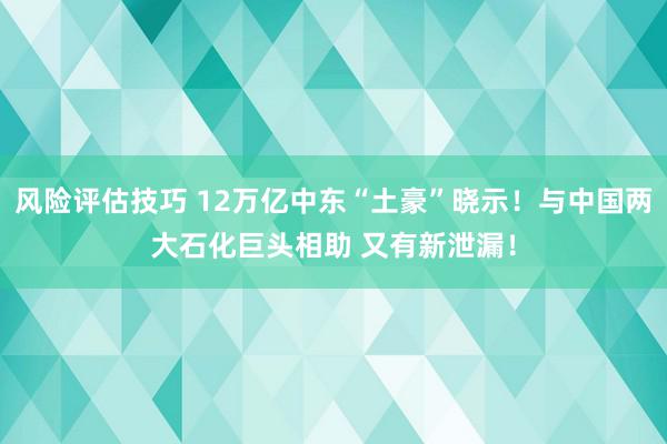 风险评估技巧 12万亿中东“土豪”晓示！与中国两大石化巨头相助 又有新泄漏！