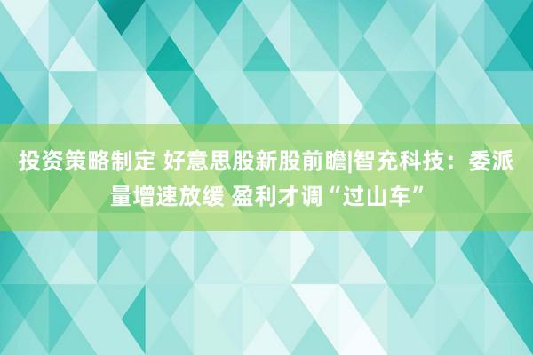 投资策略制定 好意思股新股前瞻|智充科技：委派量增速放缓 盈利才调“过山车”