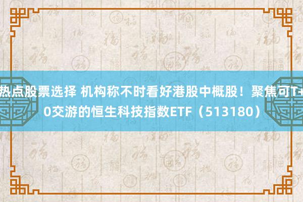 热点股票选择 机构称不时看好港股中概股！聚焦可T+0交游的恒生科技指数ETF（513180）