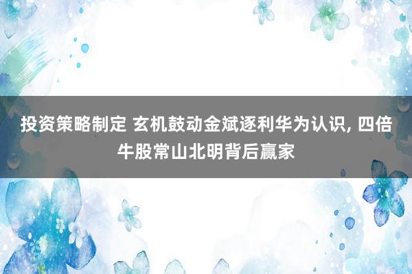 投资策略制定 玄机鼓动金斌逐利华为认识, 四倍牛股常山北明背后赢家