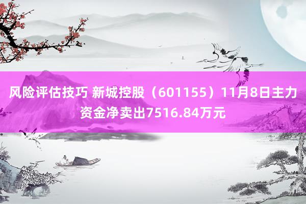 风险评估技巧 新城控股（601155）11月8日主力资金净卖出7516.84万元