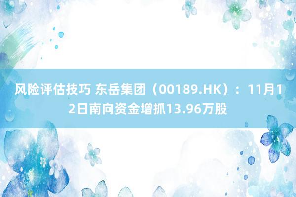 风险评估技巧 东岳集团（00189.HK）：11月12日南向资金增抓13.96万股