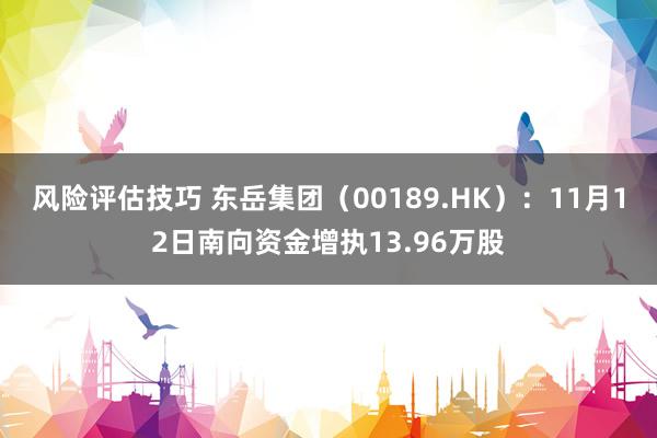 风险评估技巧 东岳集团（00189.HK）：11月12日南向资金增执13.96万股