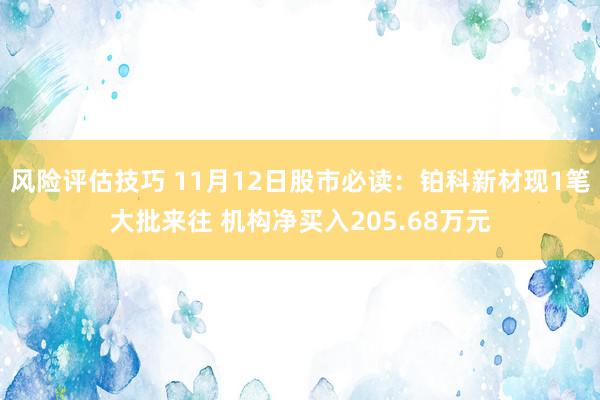 风险评估技巧 11月12日股市必读：铂科新材现1笔大批来往 机构净买入205.68万元