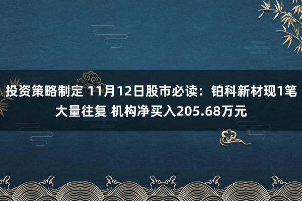 投资策略制定 11月12日股市必读：铂科新材现1笔大量往复 机构净买入205.68万元