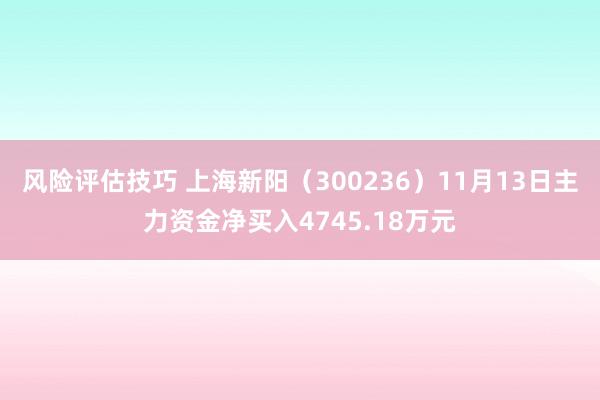 风险评估技巧 上海新阳（300236）11月13日主力资金净买入4745.18万元