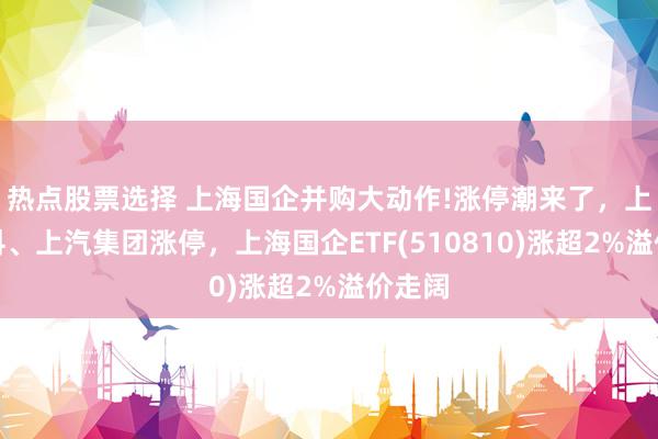 热点股票选择 上海国企并购大动作!涨停潮来了，上海建科、上汽集团涨停，上海国企ETF(510810)涨超2%溢价走阔