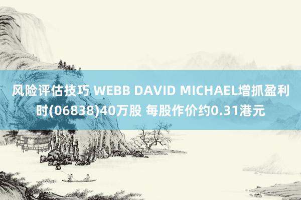 风险评估技巧 WEBB DAVID MICHAEL增抓盈利时(06838)40万股 每股作价约0.3