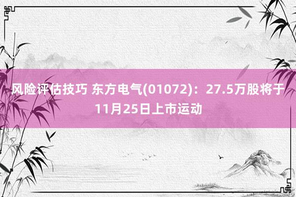 风险评估技巧 东方电气(01072)：27.5万股将于11月25日上市运动