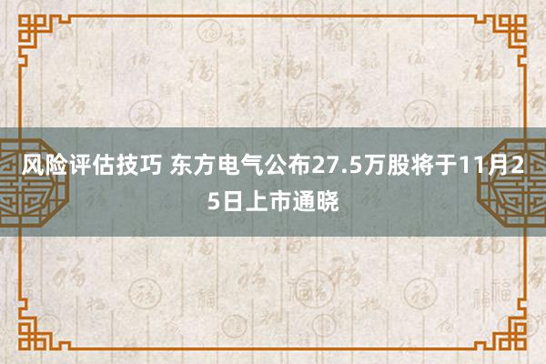 风险评估技巧 东方电气公布27.5万股将于11月25日上市通晓