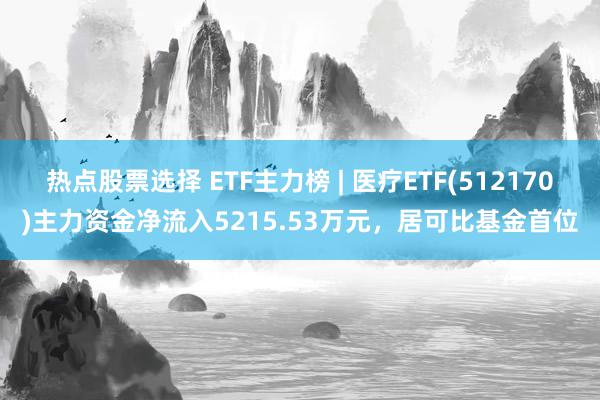 热点股票选择 ETF主力榜 | 医疗ETF(512170)主力资金净流入5215.53万元，居可比基