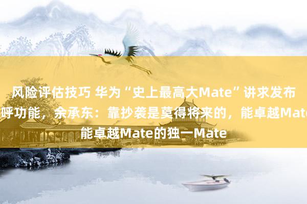 风险评估技巧 华为“史上最高大Mate”讲求发布！首发卫星寻呼功能，余承东：靠抄袭是莫得将来的，能卓