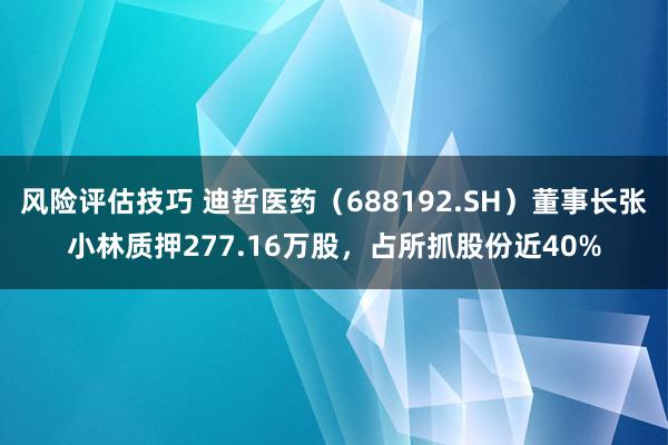 风险评估技巧 迪哲医药（688192.SH）董事长张小林质押277.16万股，占所抓股份近40%