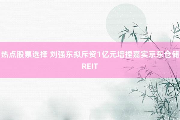 热点股票选择 刘强东拟斥资1亿元增捏嘉实京东仓储REIT