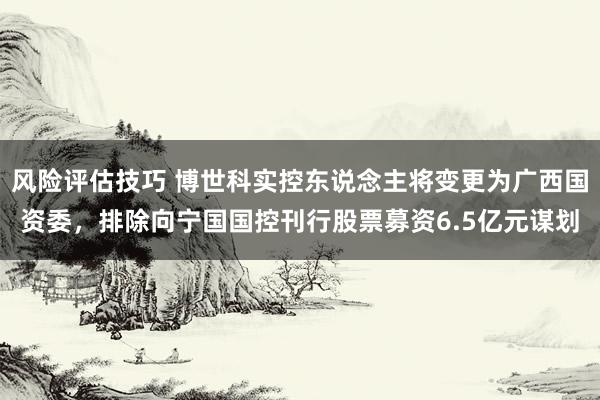 风险评估技巧 博世科实控东说念主将变更为广西国资委，排除向宁国国控刊行股票募资6.5亿元谋划