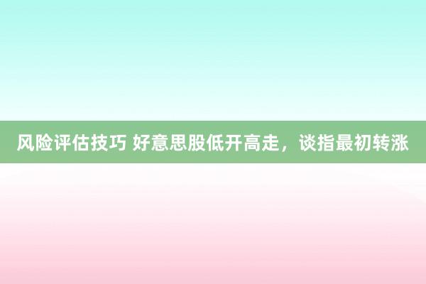 风险评估技巧 好意思股低开高走，谈指最初转涨