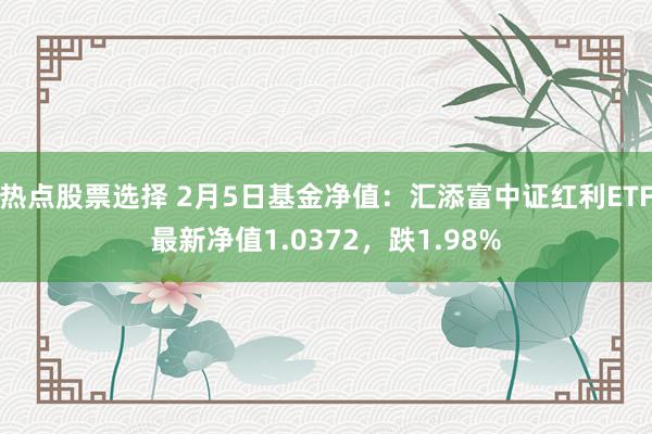 热点股票选择 2月5日基金净值：汇添富中证红利ETF最新净值1.0372，跌1.98%