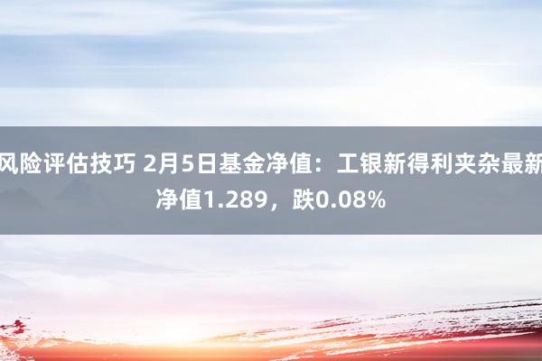 风险评估技巧 2月5日基金净值：工银新得利夹杂最新净值1.289，跌0.08%