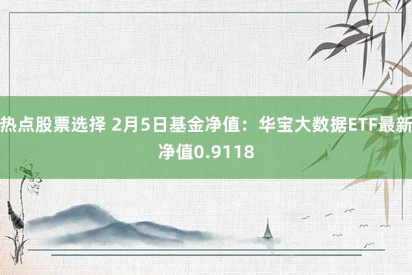 热点股票选择 2月5日基金净值：华宝大数据ETF最新净值0.9118