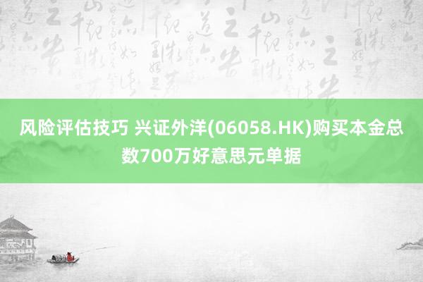 风险评估技巧 兴证外洋(06058.HK)购买本金总数700万好意思元单据