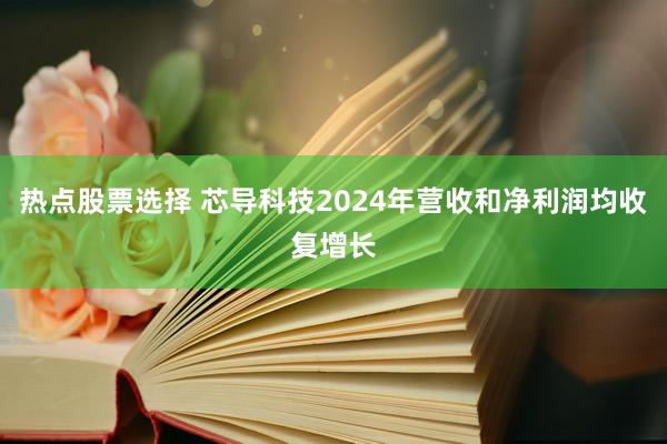 热点股票选择 芯导科技2024年营收和净利润均收复增长