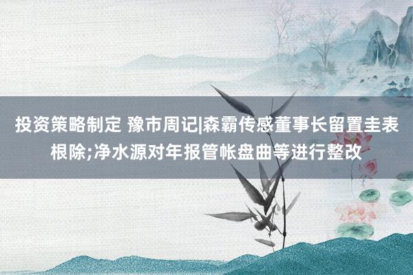 投资策略制定 豫市周记|森霸传感董事长留置圭表根除;净水源对年报管帐盘曲等进行整改