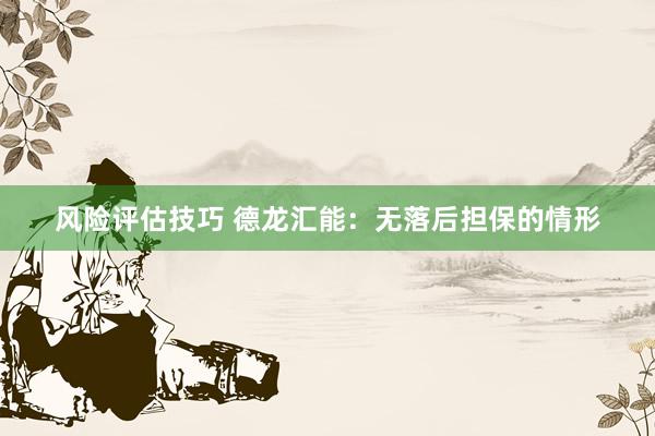 风险评估技巧 德龙汇能：无落后担保的情形