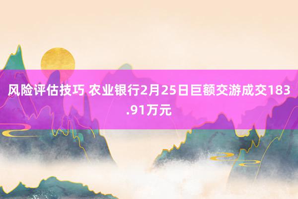 风险评估技巧 农业银行2月25日巨额交游成交183.91万元