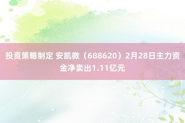 投资策略制定 安凯微（688620）2月28日主力资金净卖出1.11亿元