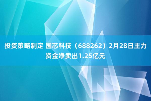 投资策略制定 国芯科技（688262）2月28日主力资金净卖出1.25亿元