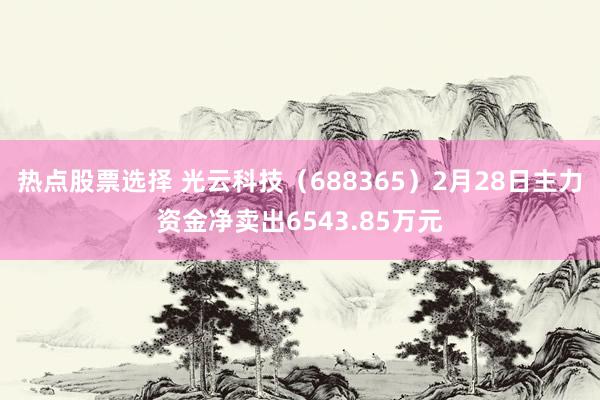 热点股票选择 光云科技（688365）2月28日主力资金净卖出6543.85万元