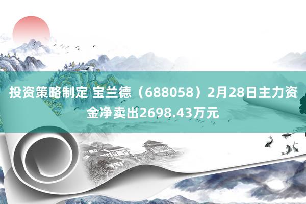 投资策略制定 宝兰德（688058）2月28日主力资金净卖出2698.43万元