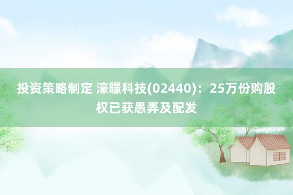 投资策略制定 濠暻科技(02440)：25万份购股权已获愚弄及配发