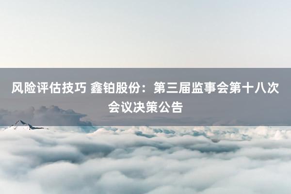 风险评估技巧 鑫铂股份：第三届监事会第十八次会议决策公告