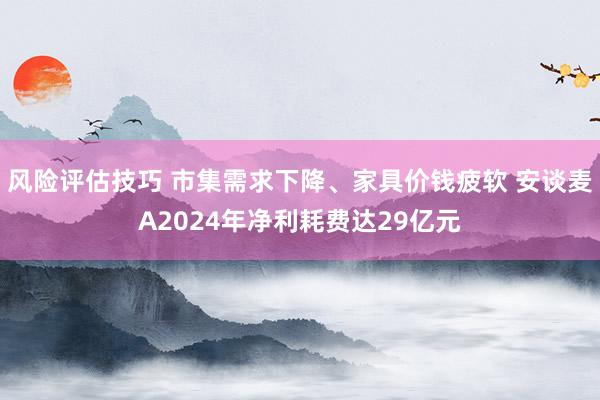 风险评估技巧 市集需求下降、家具价钱疲软 安谈麦A2024年净利耗费达29亿元