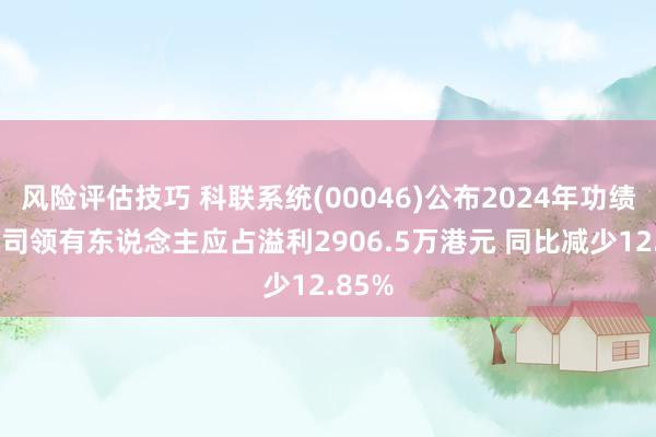 风险评估技巧 科联系统(00046)公布2024年功绩 母公司领有东说念主应占溢利2906.5万港元